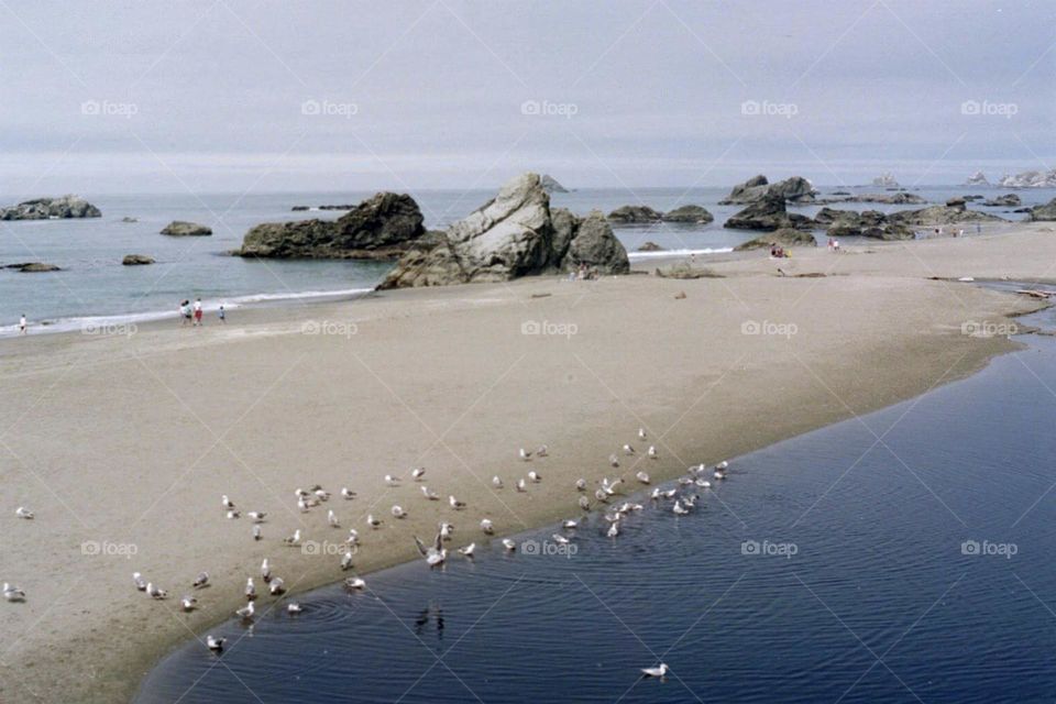 Sand bank stretching out into the ocean