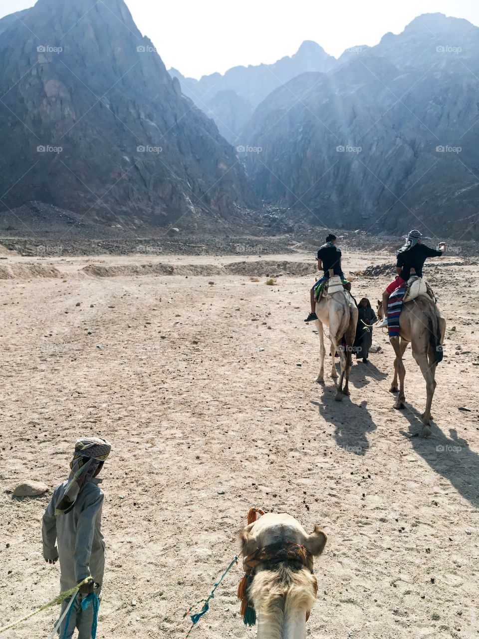 Camel riding tour by Red sea mountains, egypt