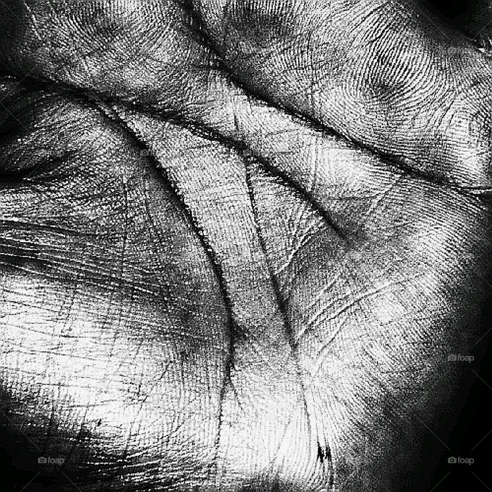 It's all in the palm of your hand