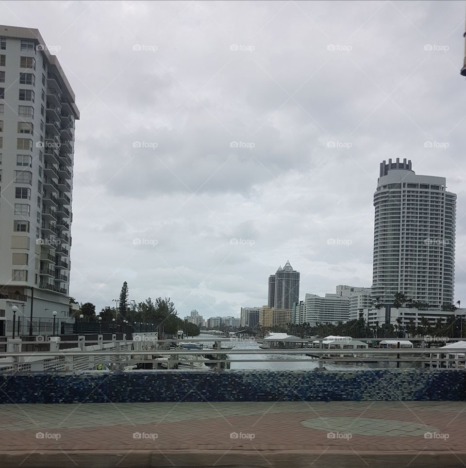 Beautiful  landscape