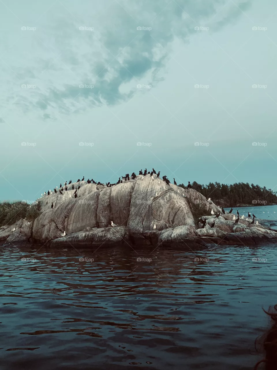 Rock island Muskoka 