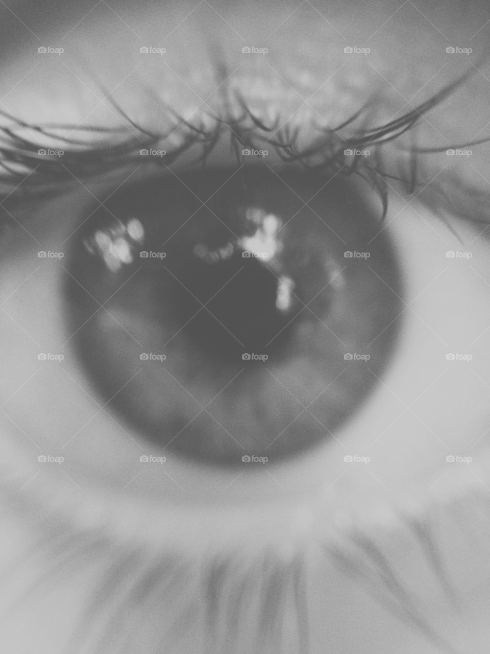 Retina. The beauiful eye of my girlfriend.