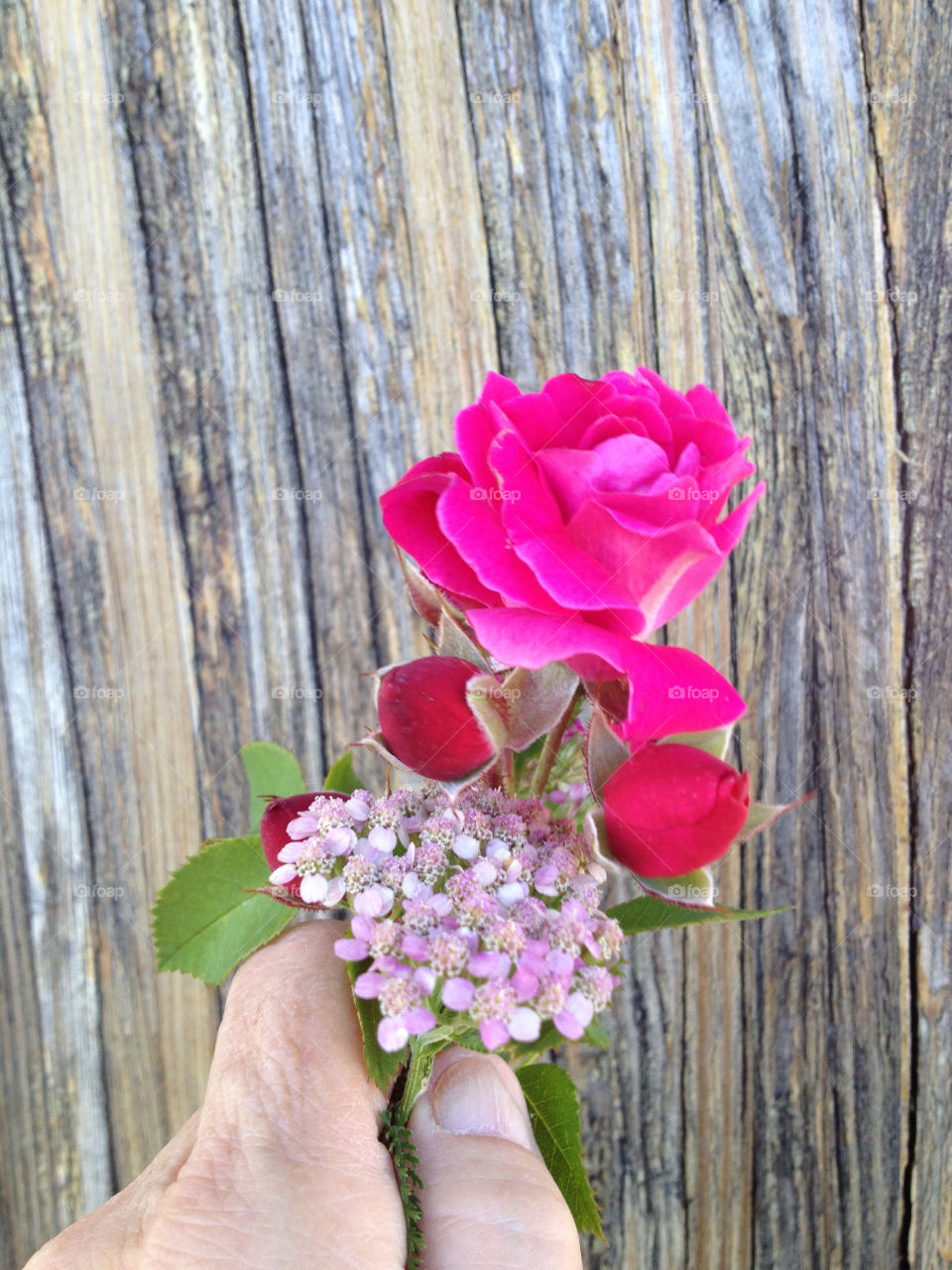 flowers pink wood hands by miowan