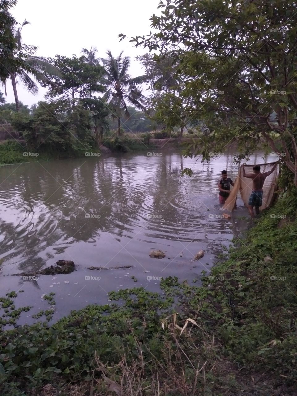 Catching a small river fish