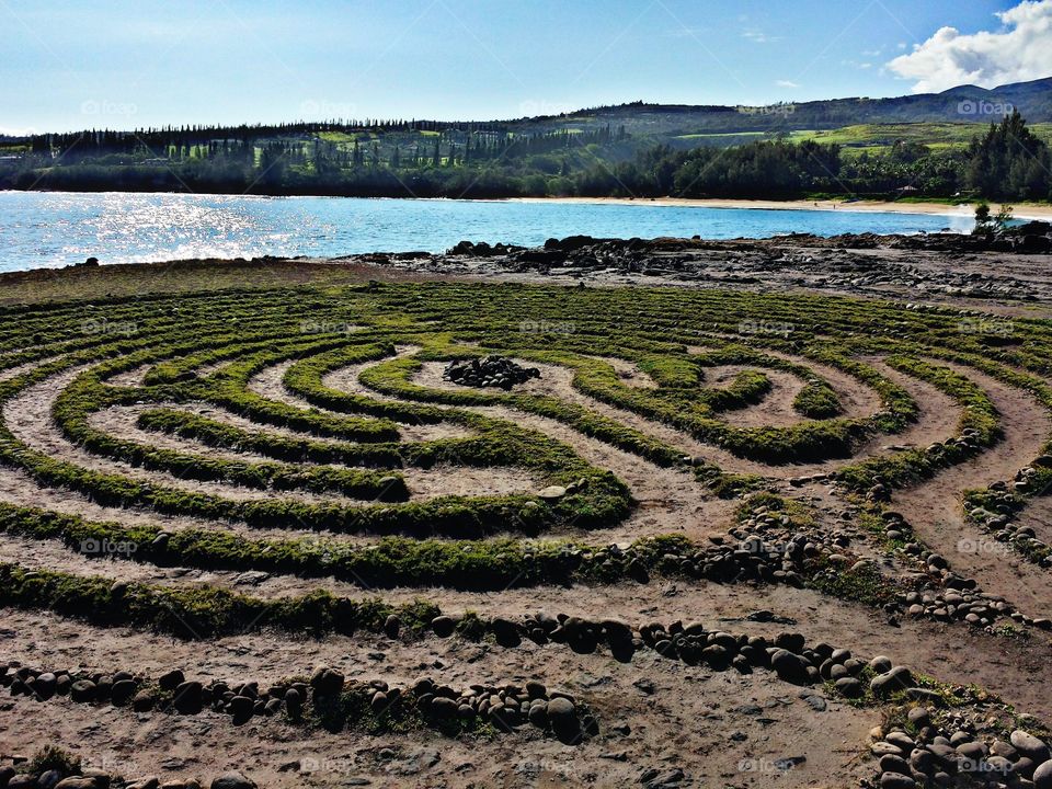 Morning Sun. Morning Sun