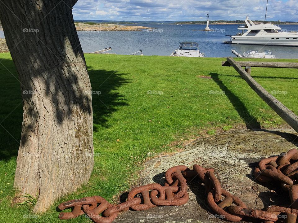 Rusty chain on a lawn by the sea