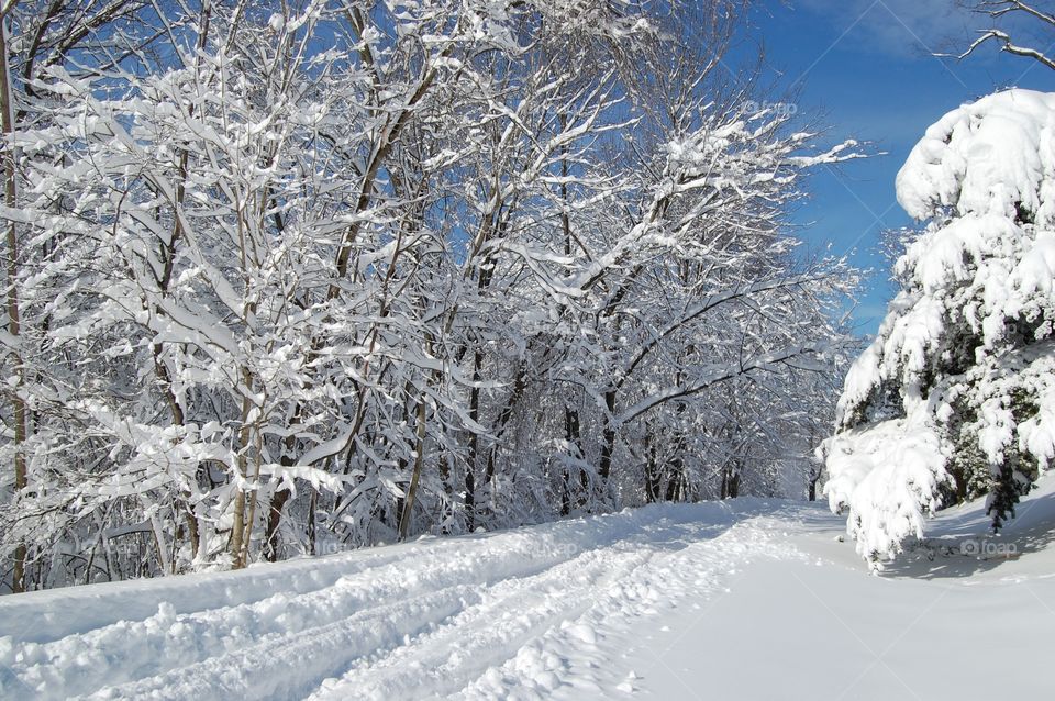 Deep snow on the road