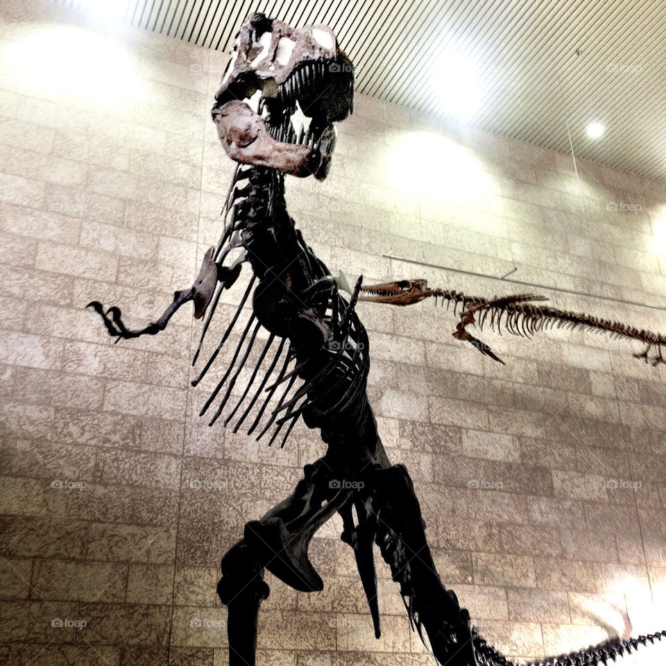 dinosaur tall amazing huge by stykellee
