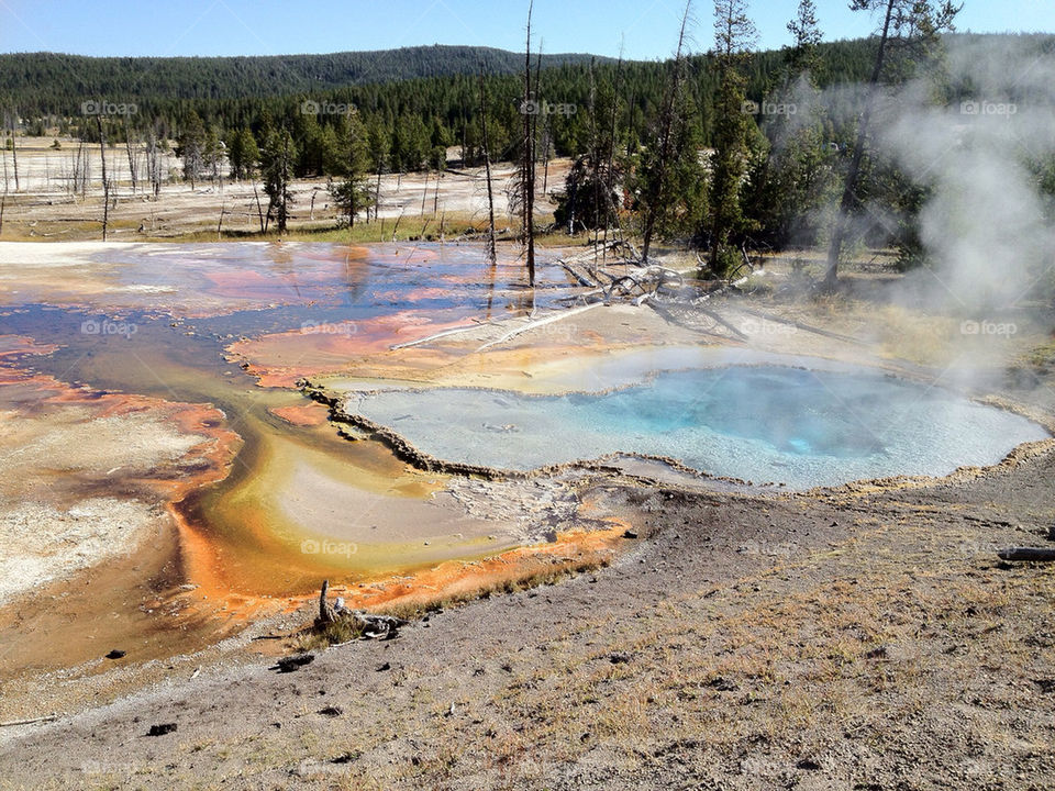Water spring in Yellowstone