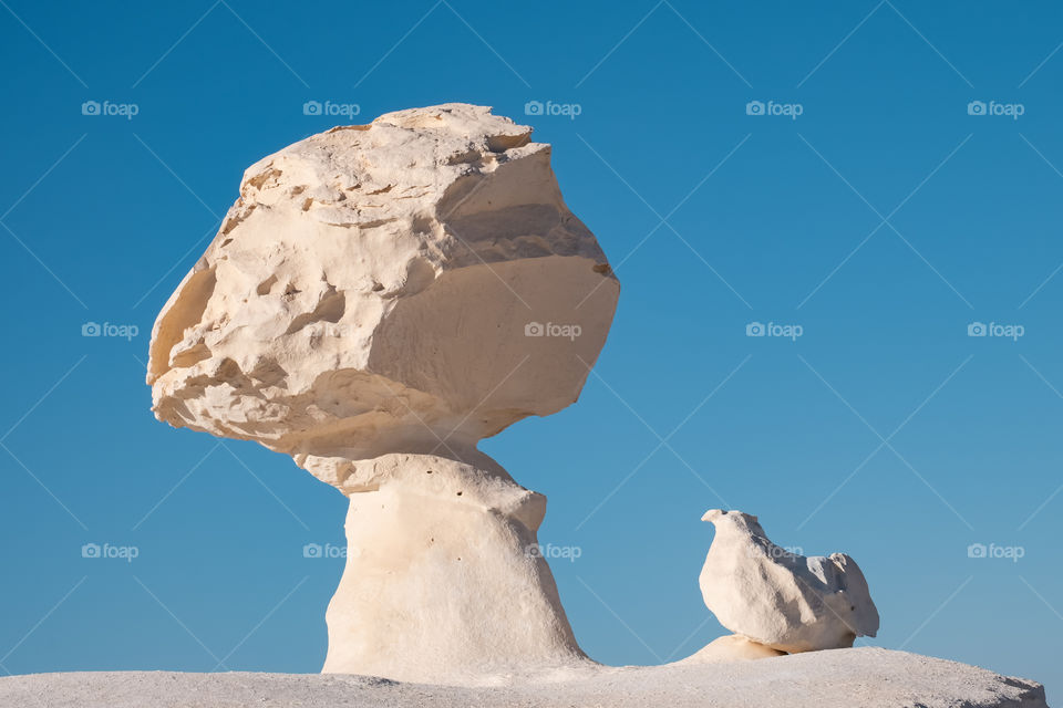 Natural miracle make White stone become hen shape at  Sahara el Beyda (white desert) in Egypt