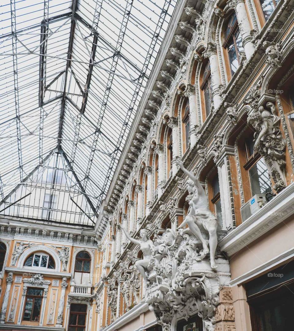 flowers nature summer