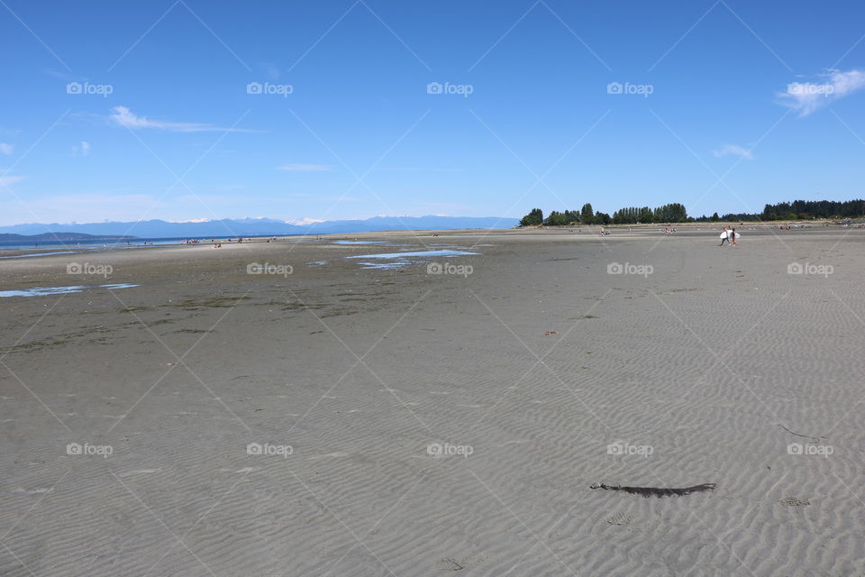 Beach day