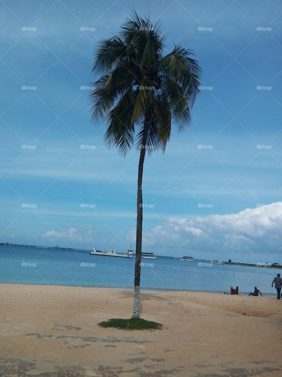 tropical beach front