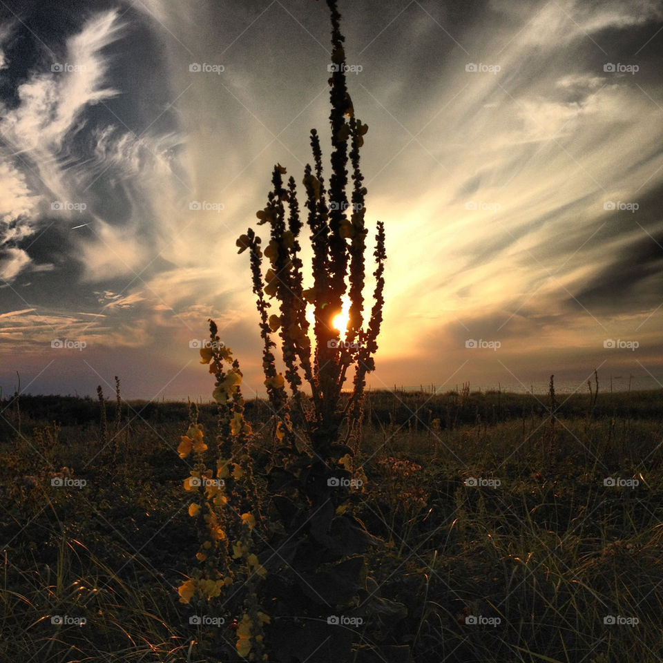Great sunset in Scheveningen