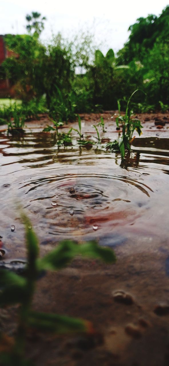 floating water