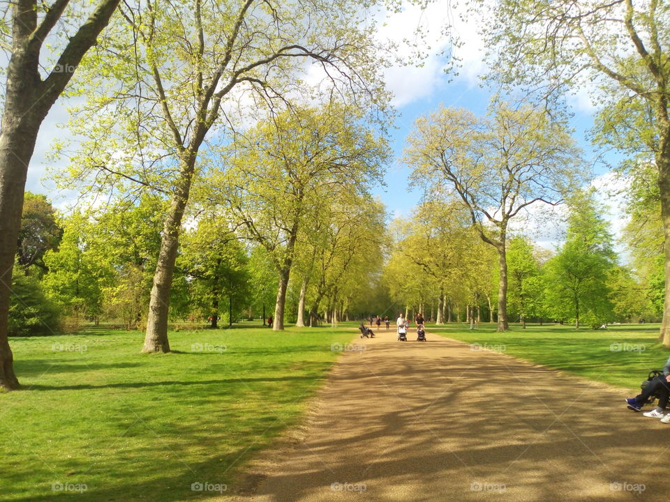 Hyde Park - London