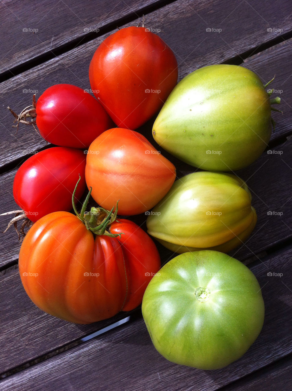 sweden garden tomatoes vegetables by hallis