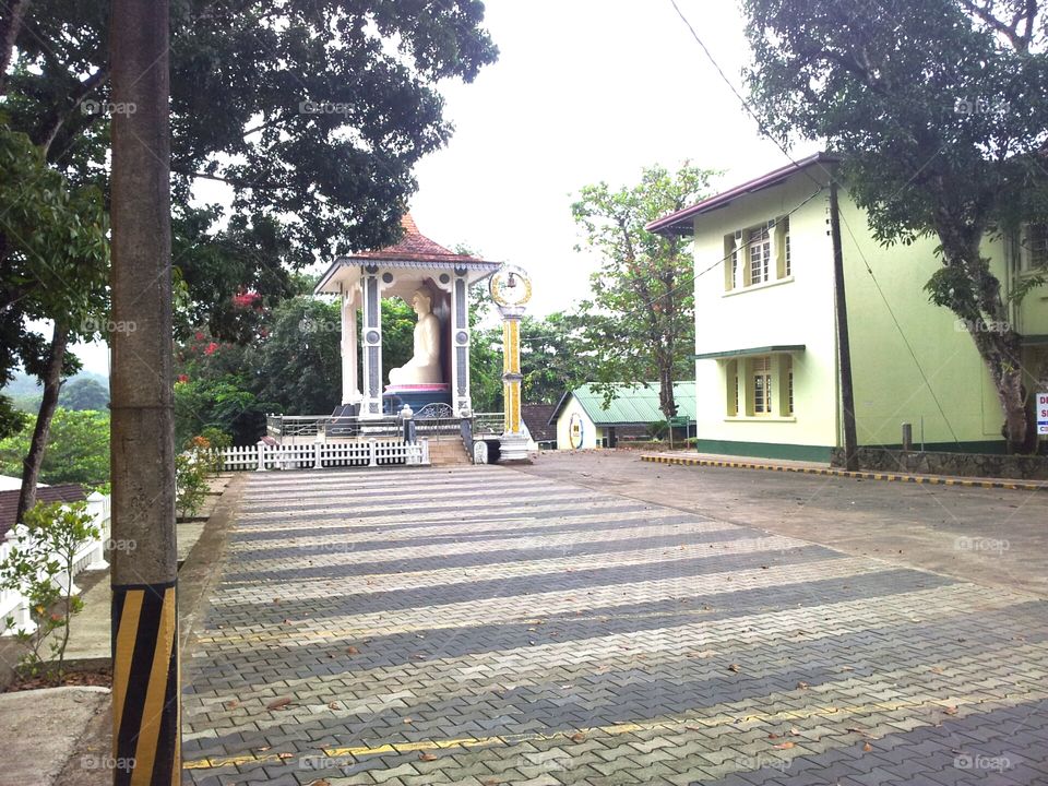 School Budhu medura Sivali Sri Lanka