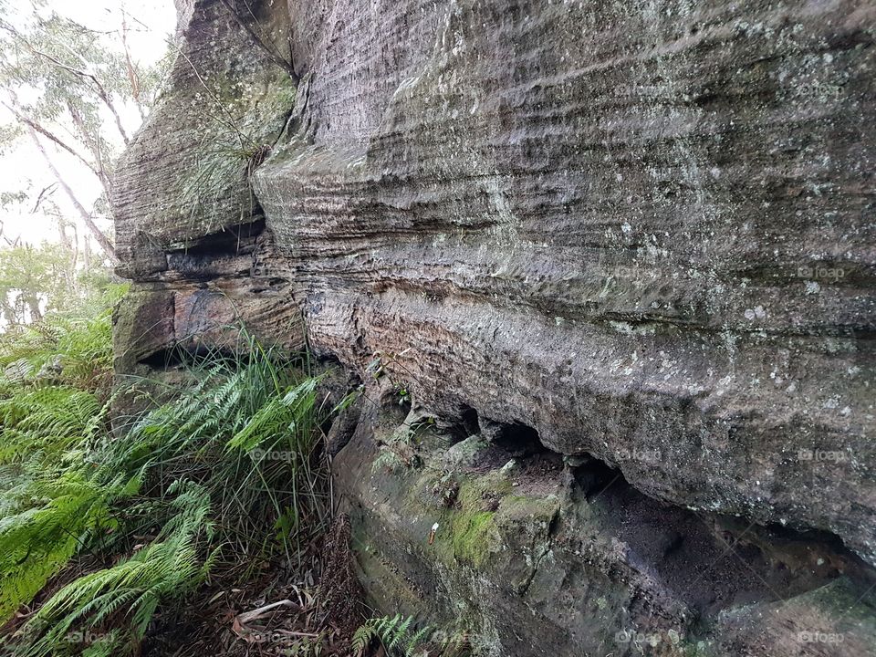 Natures Rock Wall