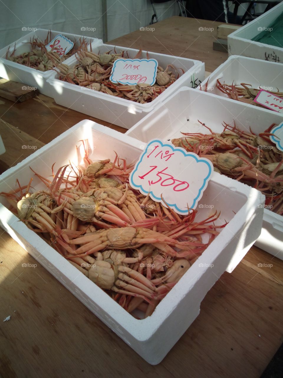 fresh crabs!! ready to eat!!