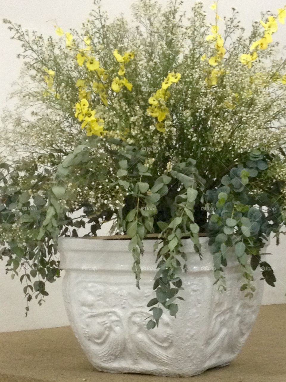 Flora, Flower, Leaf, No Person, Vase