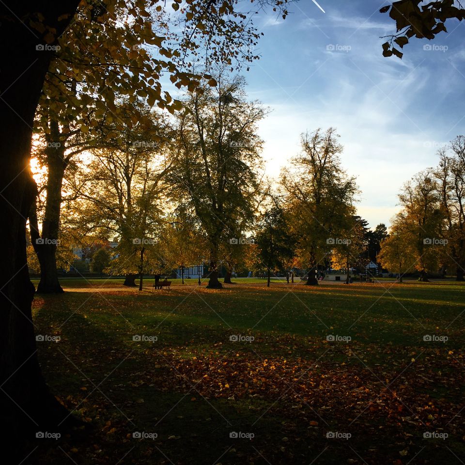 Autumn colours walking in the park