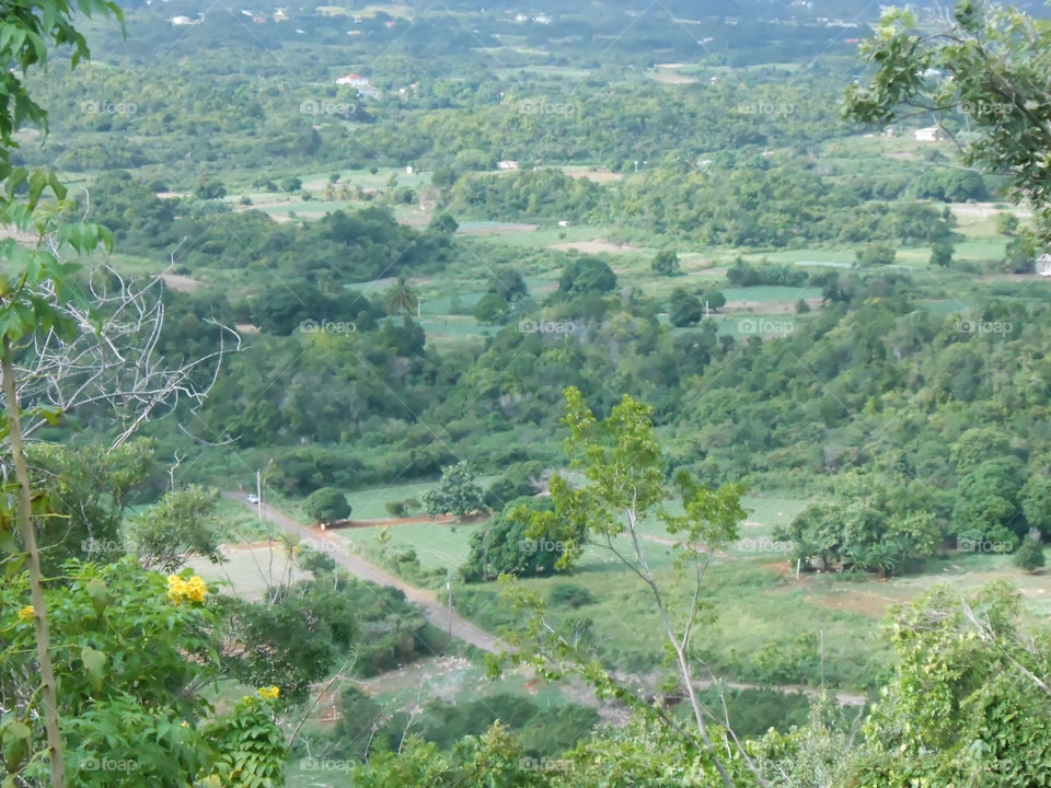 View of the Plains