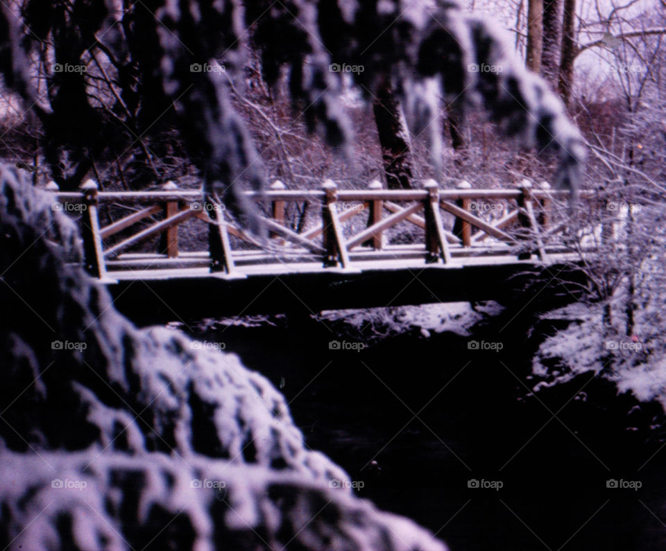 Winter Bridge