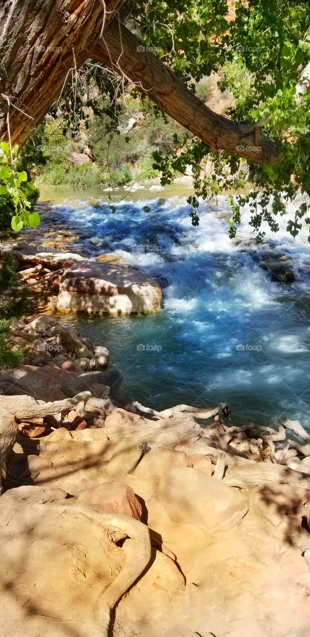 Virgin river flowing