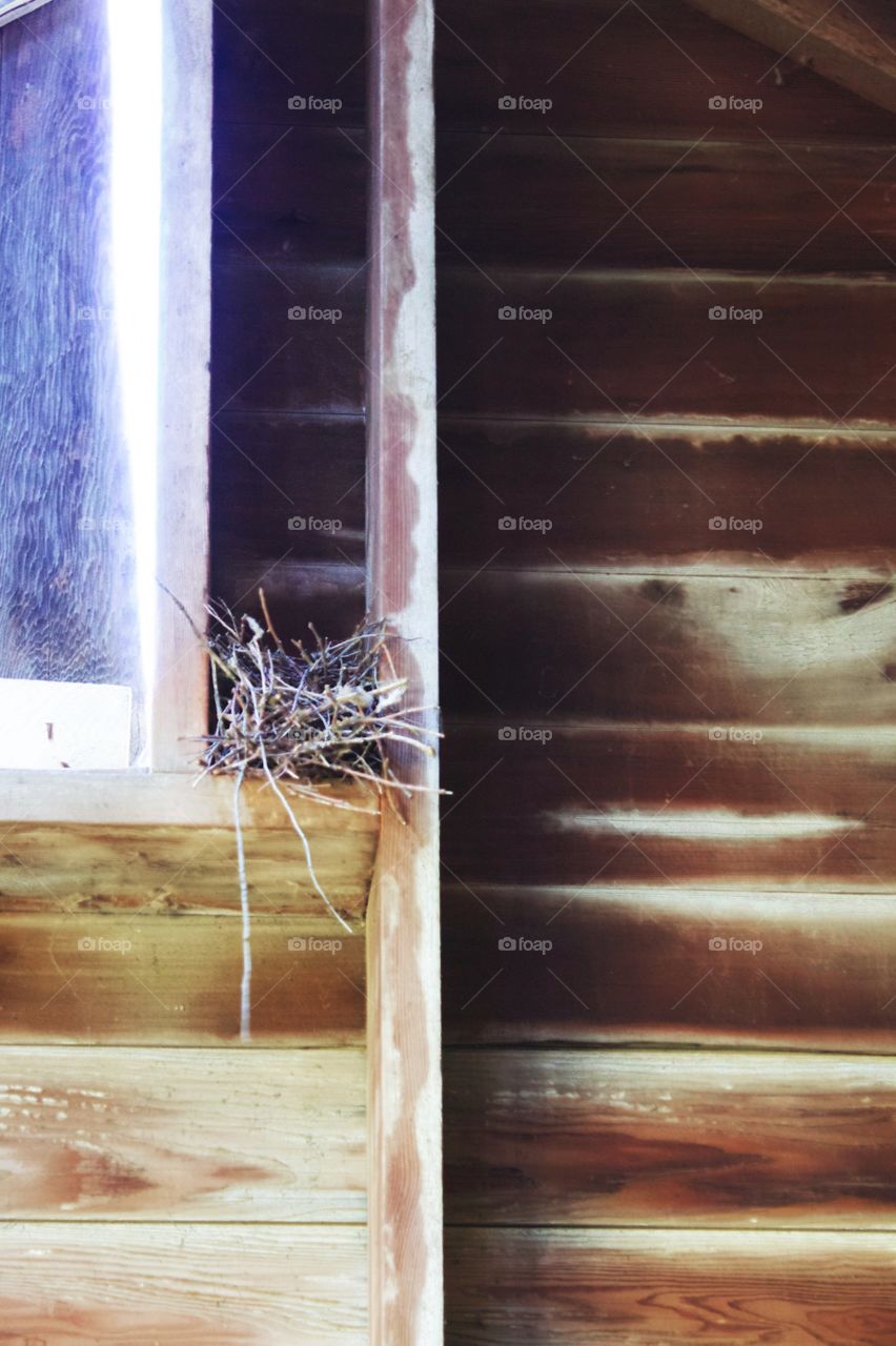 Minimalistic Snaps - birds nest in a farm shed 