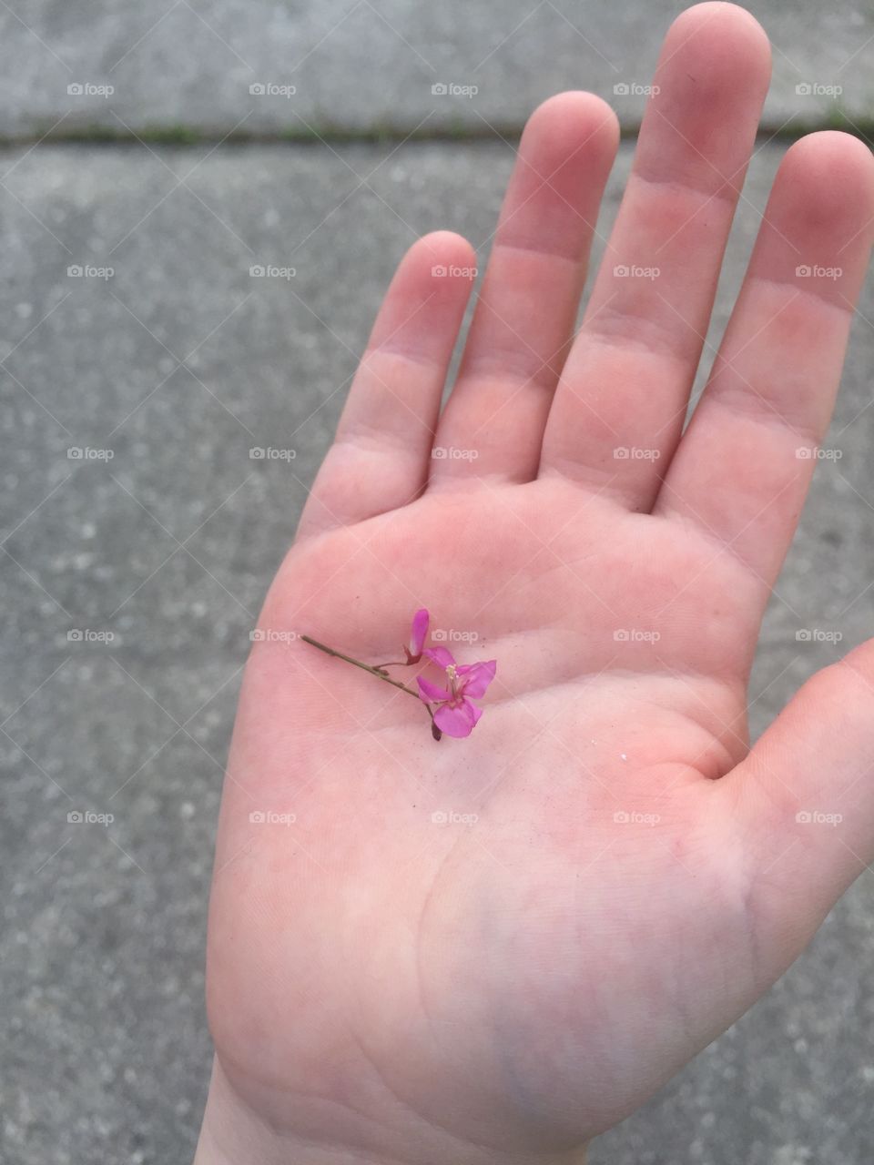 Tiny flower 