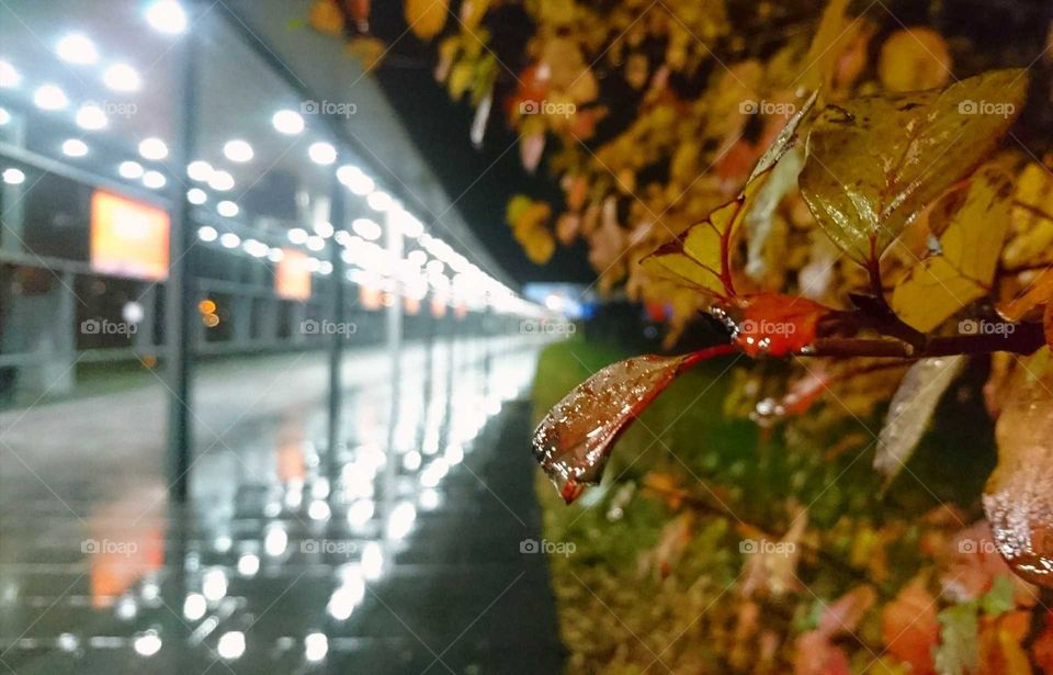 Night at the airport