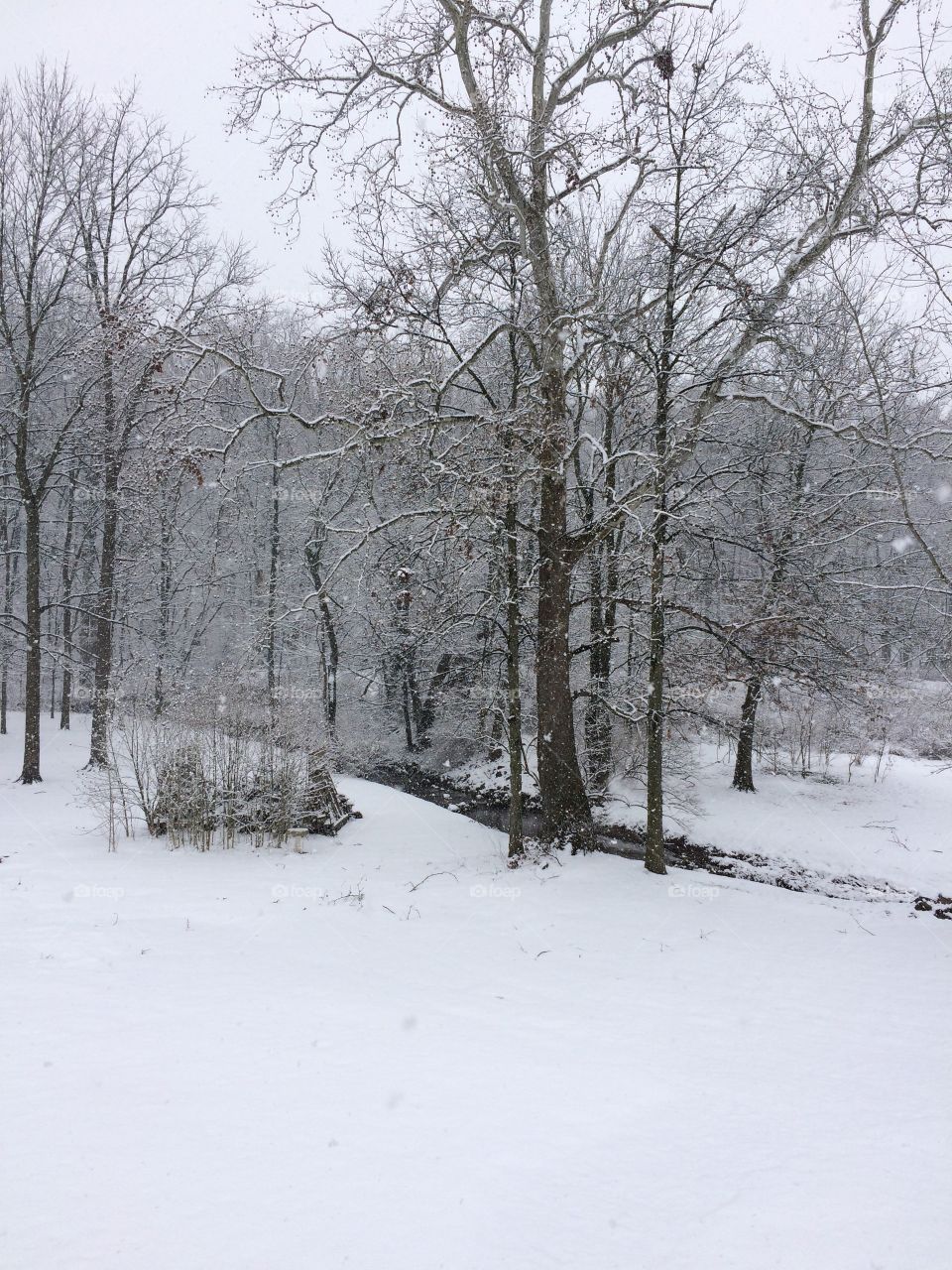 Beautiful backyard after snowstorm