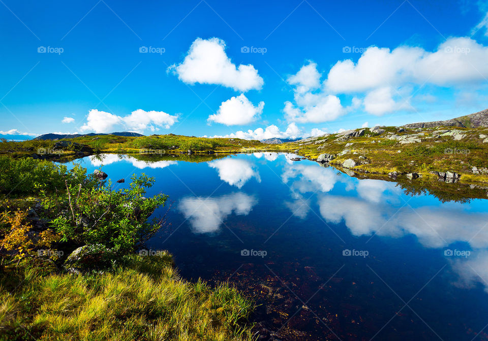 Lofoten