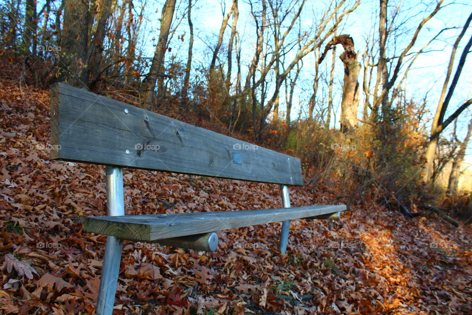 Bench on trail in state park in New York on border of Pennsylvania 