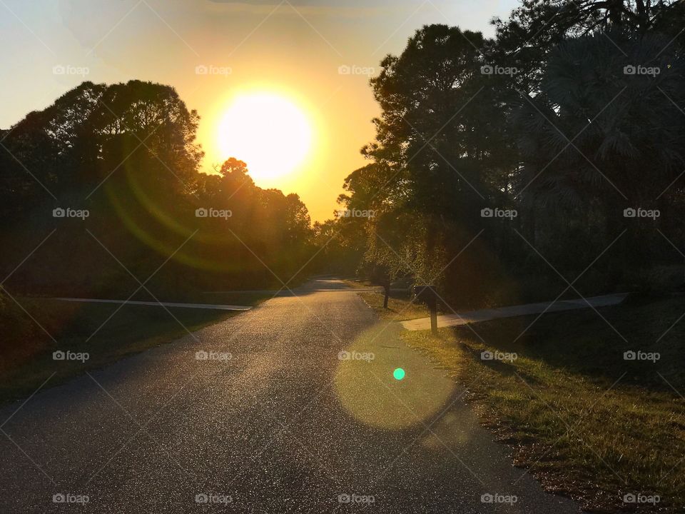 Bright sun on a scenic country road.