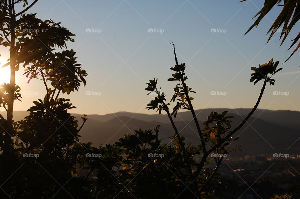 Skyscape during sunset 