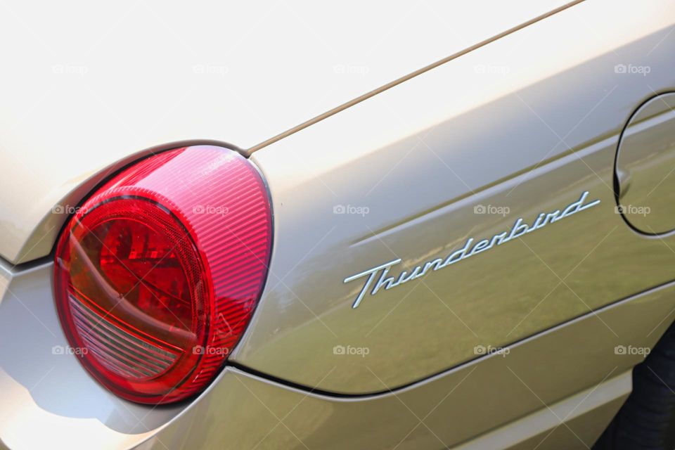 Tan Thunderbird