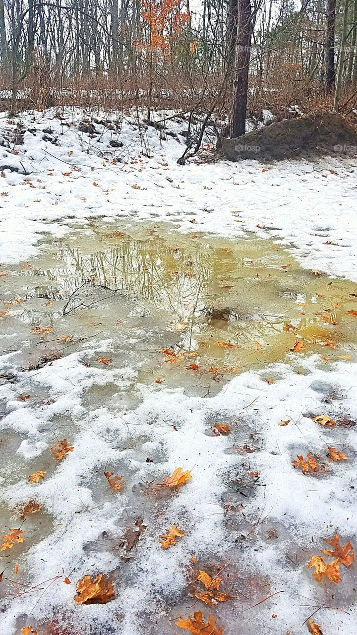 melting snow in March in Michigan
