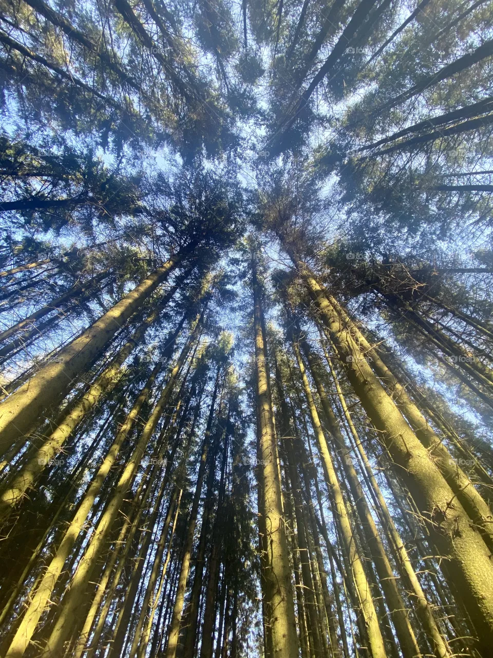 Standing tall.