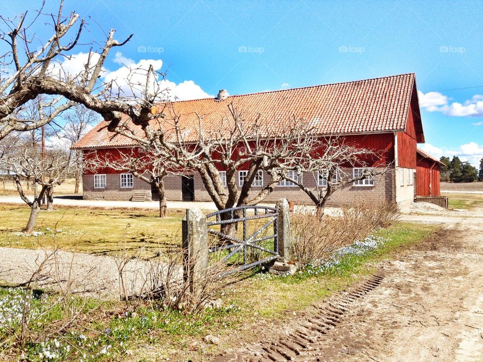 swedish red barn