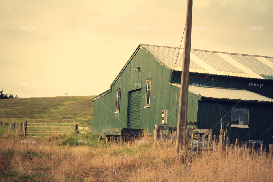 Shearing Shed