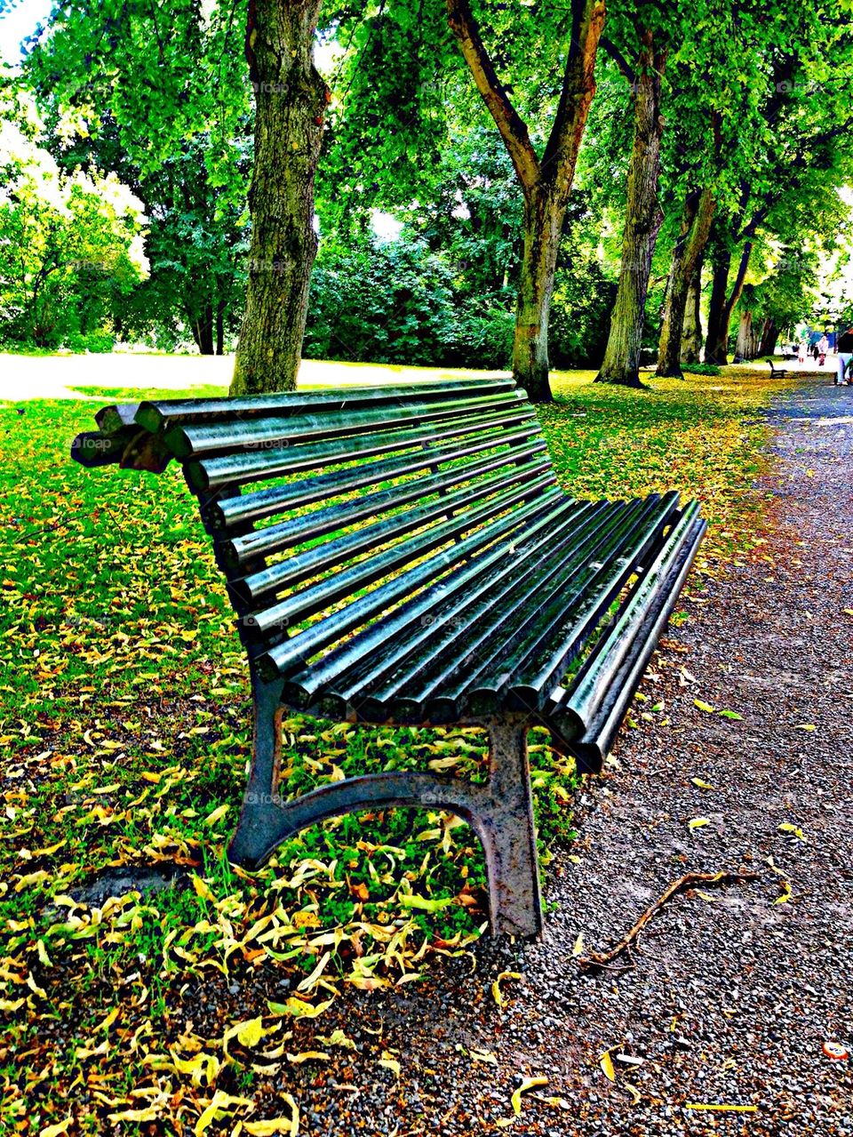 The lovely Green Park Bench!