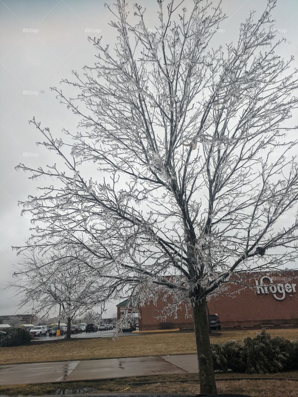 Life is beautiful when you are around beautiful nature ❤️❤️❤️ Life is full of miracles if you create one !!!