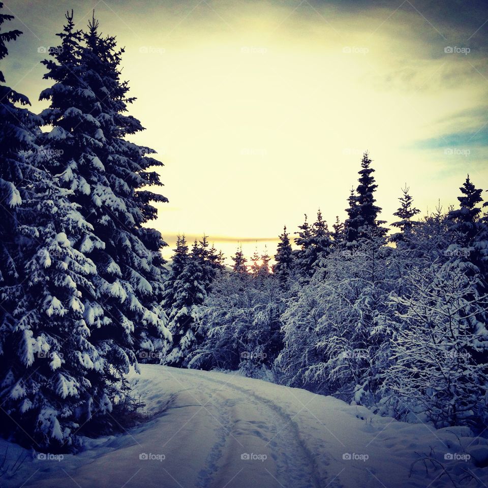 Snowy Mountains