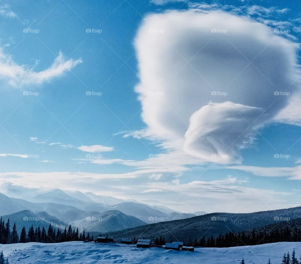 Beautiful winter 🥶