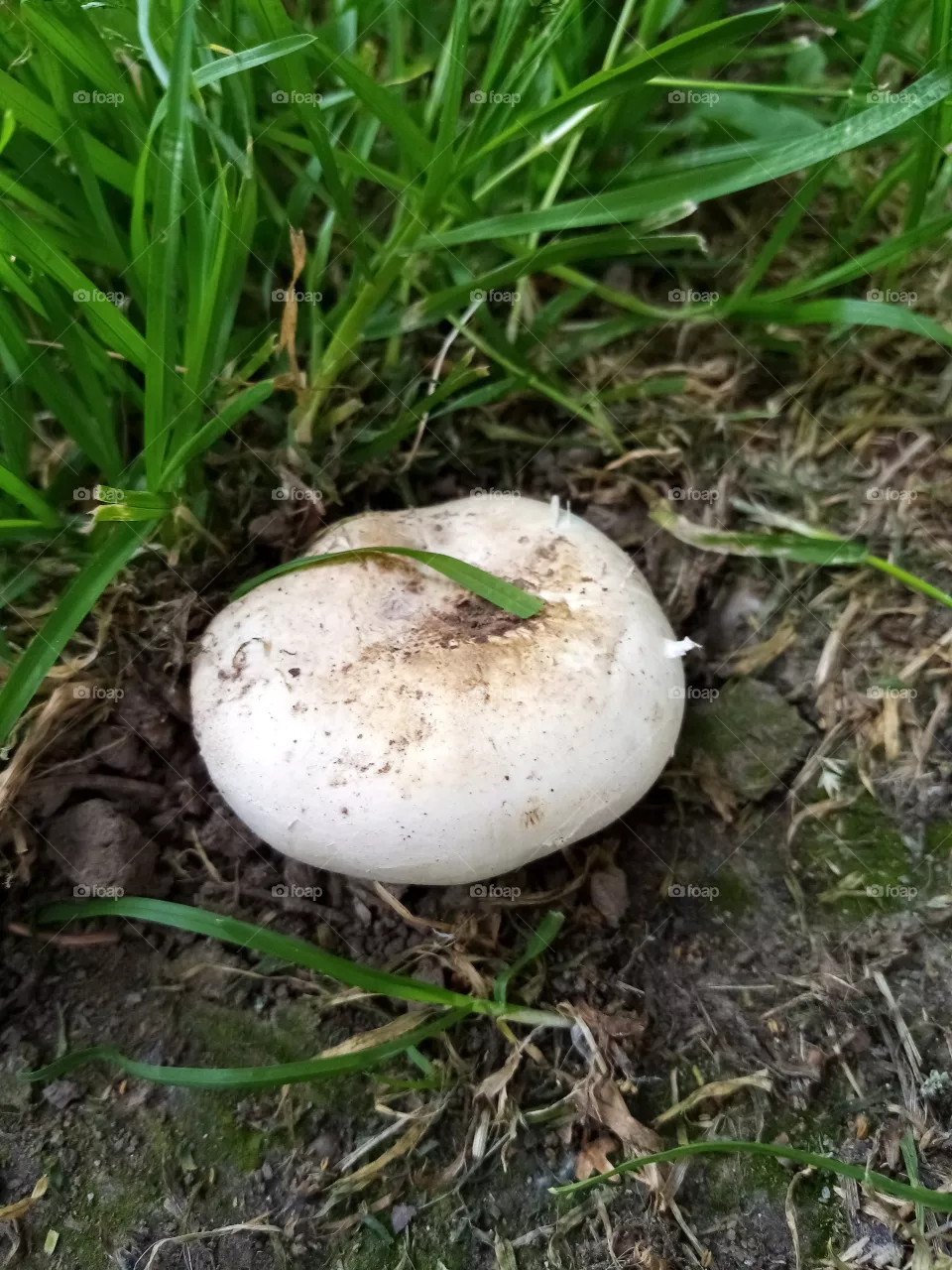 Nach dem Regen