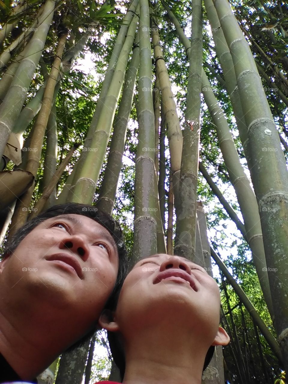 husband and wife in the middle of bamboo forest... hmm...