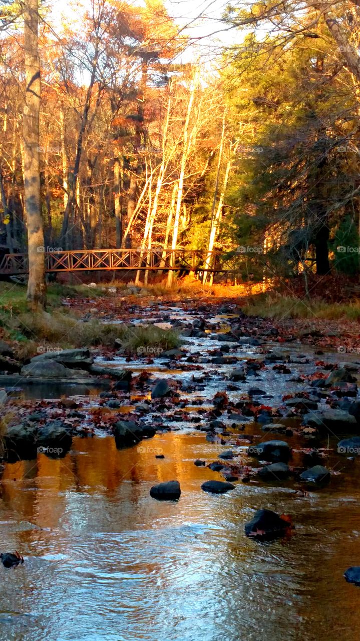 Bridge over Clear Creek, Clear Creek State Park, Pennsylvania