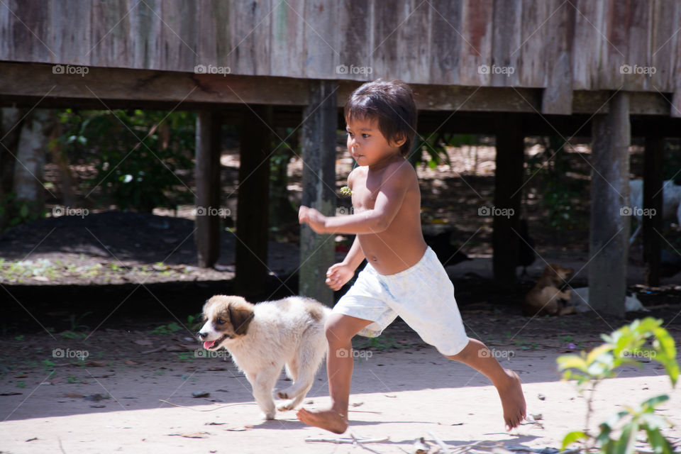 dog and boy pyrenees canine